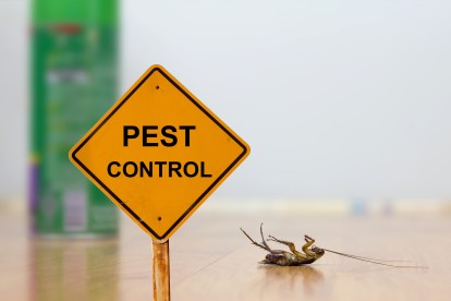Pest Contol in Maida Vale, Warwick Avenue, W9. Call Now 020 8166 9746